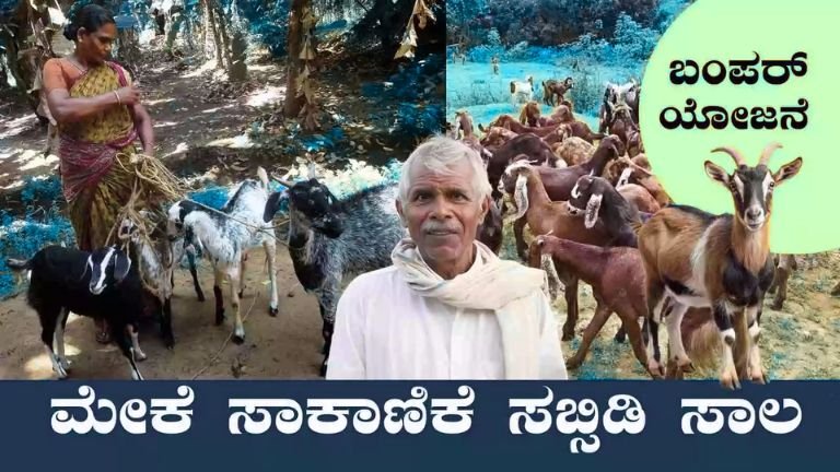 Goat Farming Loan